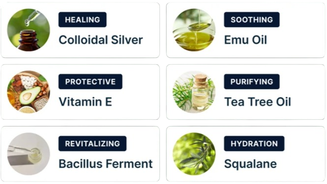 Dermafix_Nail_Fungus_Treatment_Gel_Ingredients